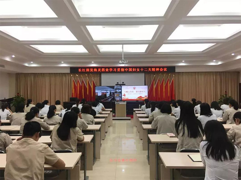 海灵药业分会场学习情况